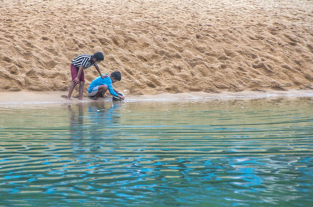 Their life and their beauty