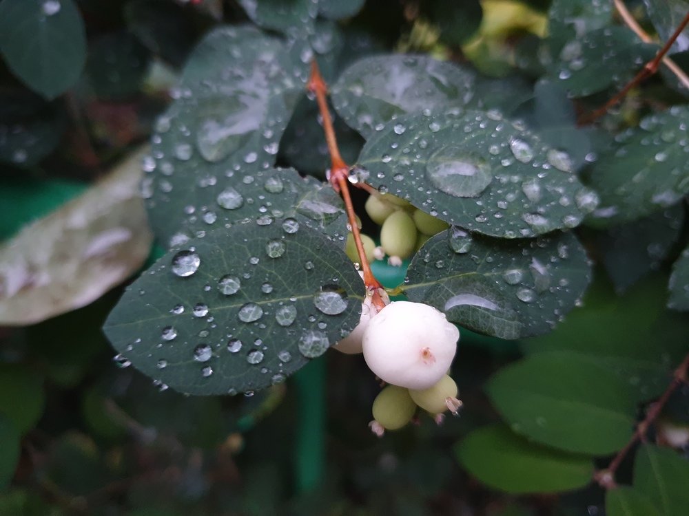 Photograph by mikhail goryachev