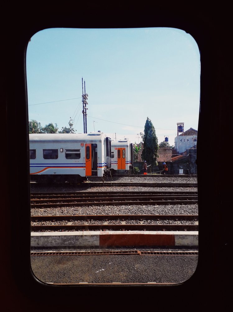 Photo #3978459
