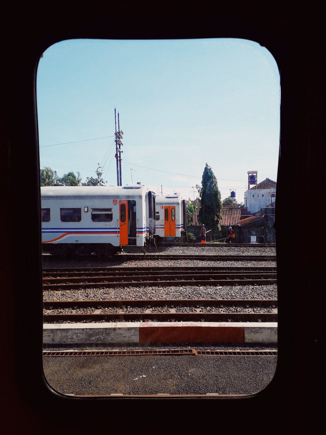 Photo #3978459