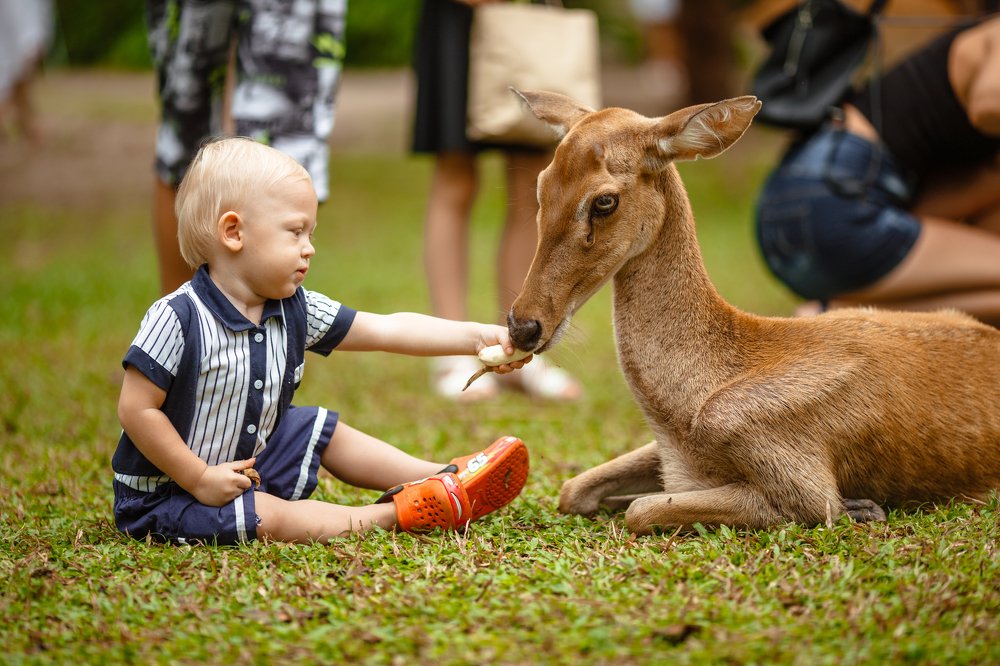 Photograph by Масяня Юличка