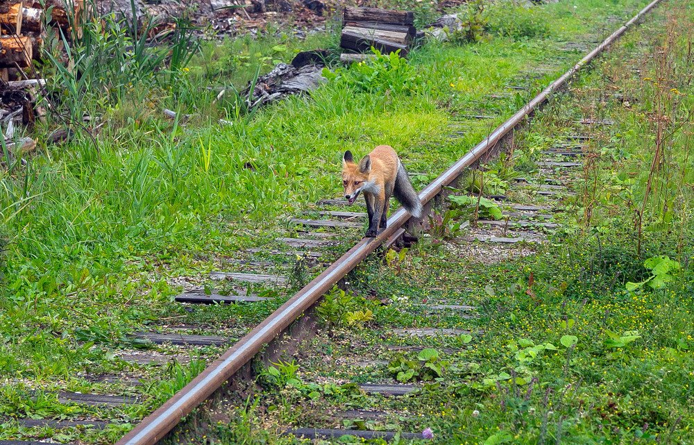 Photograph by Александр Силинский