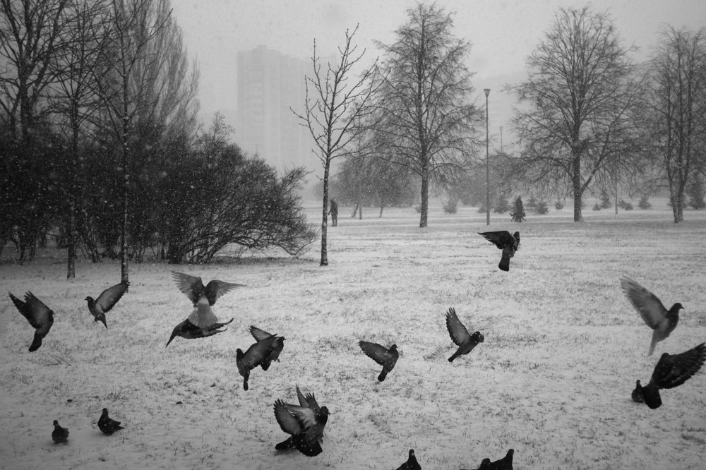 Photograph by Александр Майоров