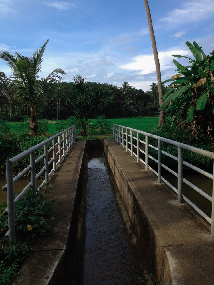 Photograph by Harisankar B