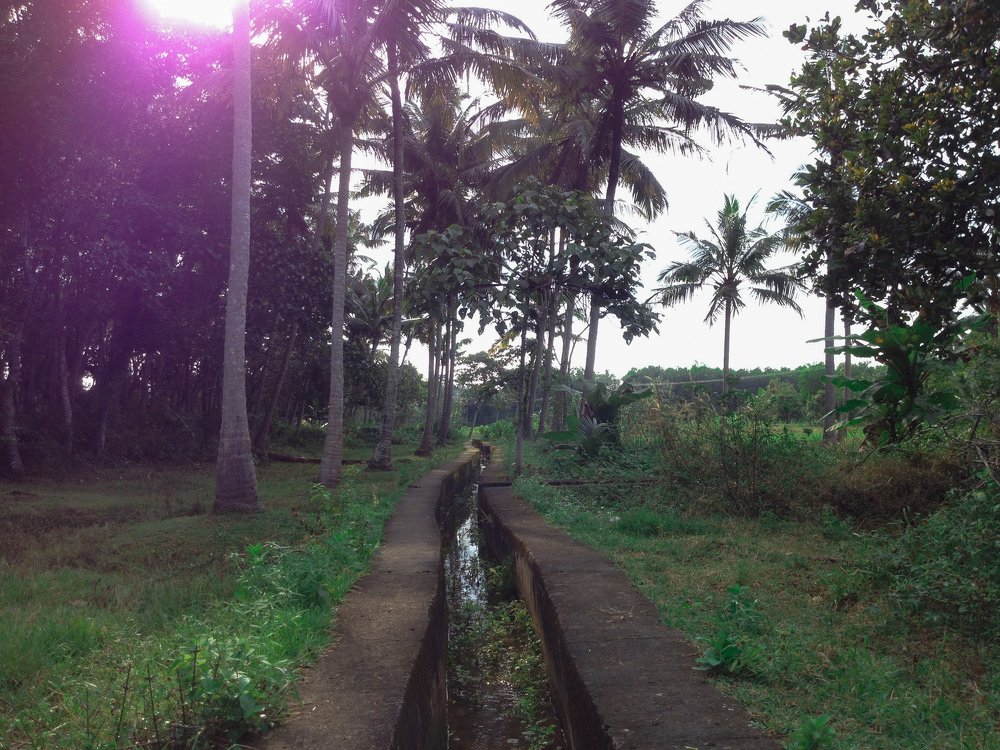 Photograph by Harisankar B