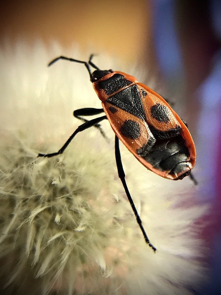 Photograph by Андрей Лежнин