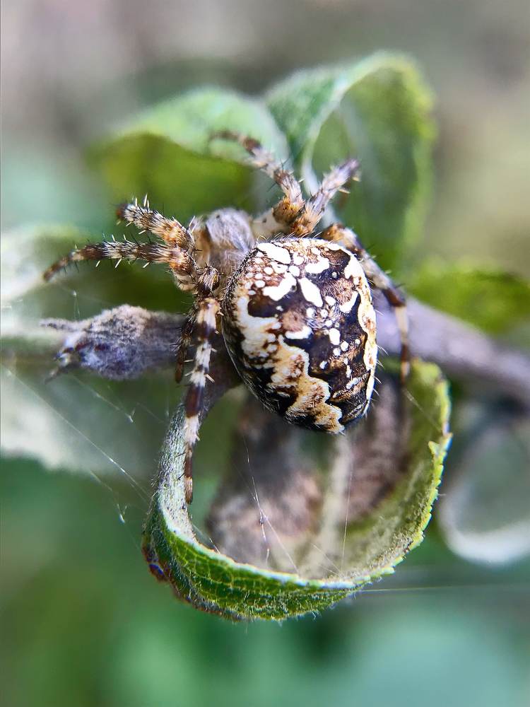 Photograph by Андрей Лежнин