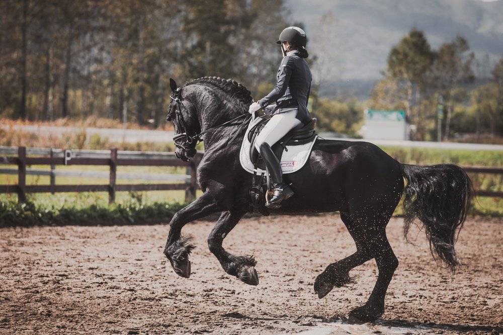 Фотография автора Дмитрий Эбингер