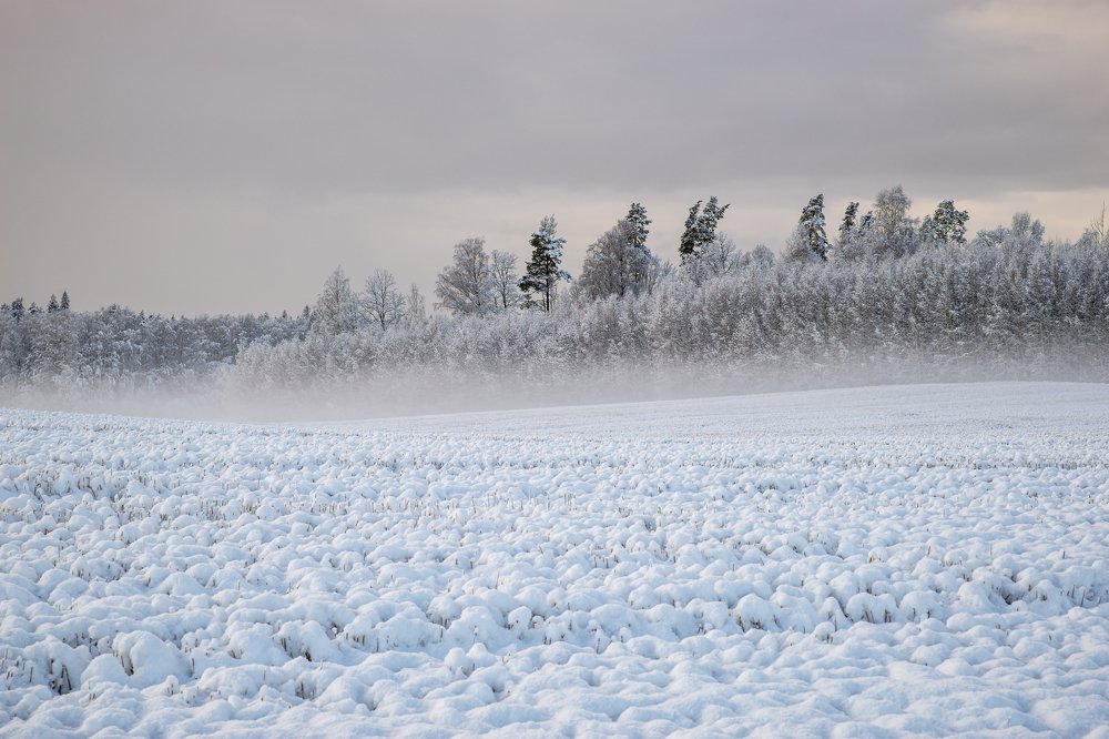 Photograph by Dace Spalviņa