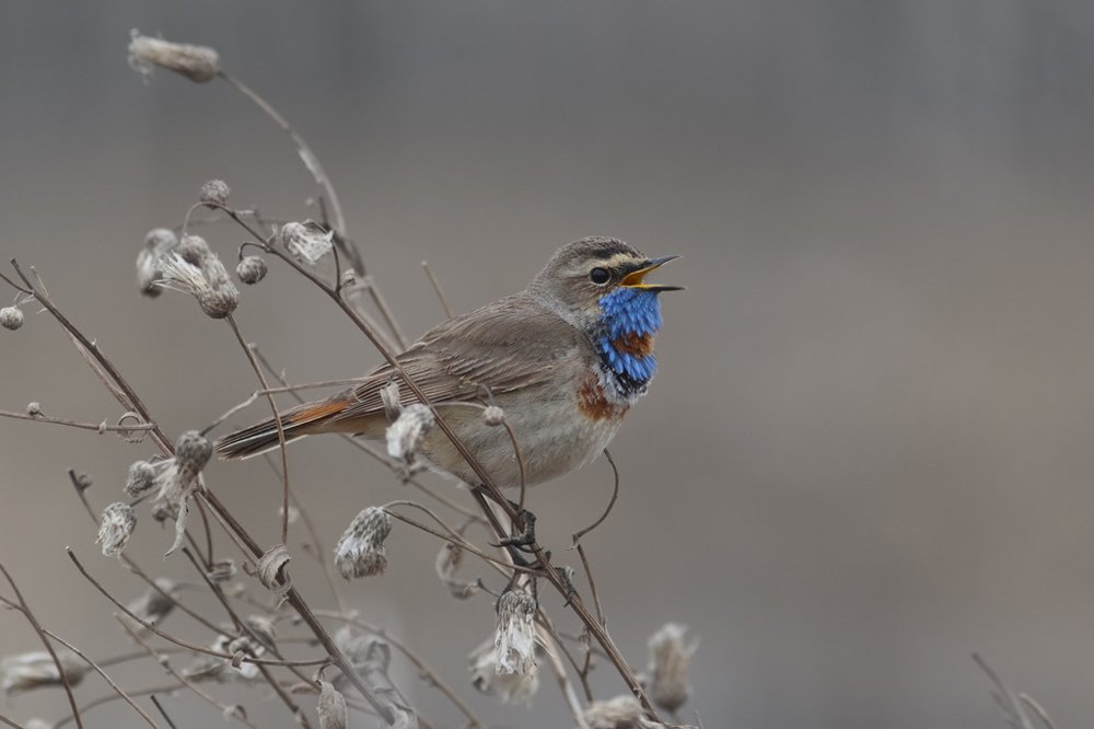 Photograph by Алексей