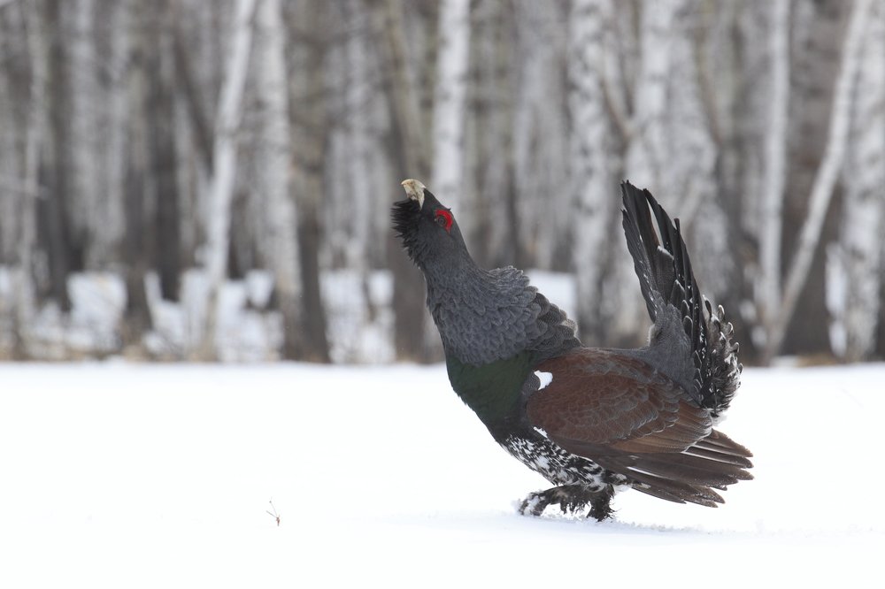 Photograph by Алексей