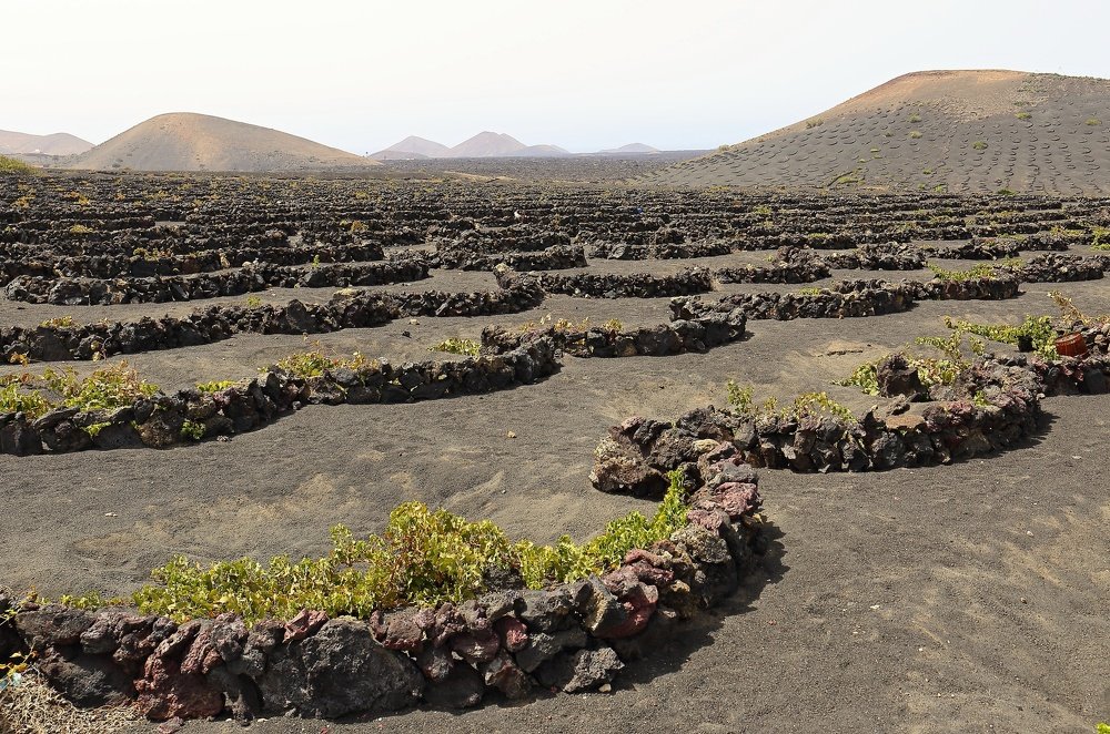 Photograph by Igor Badura