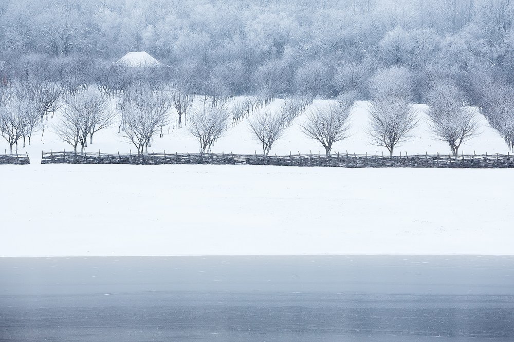 Фотография автора Юрий Сорокин