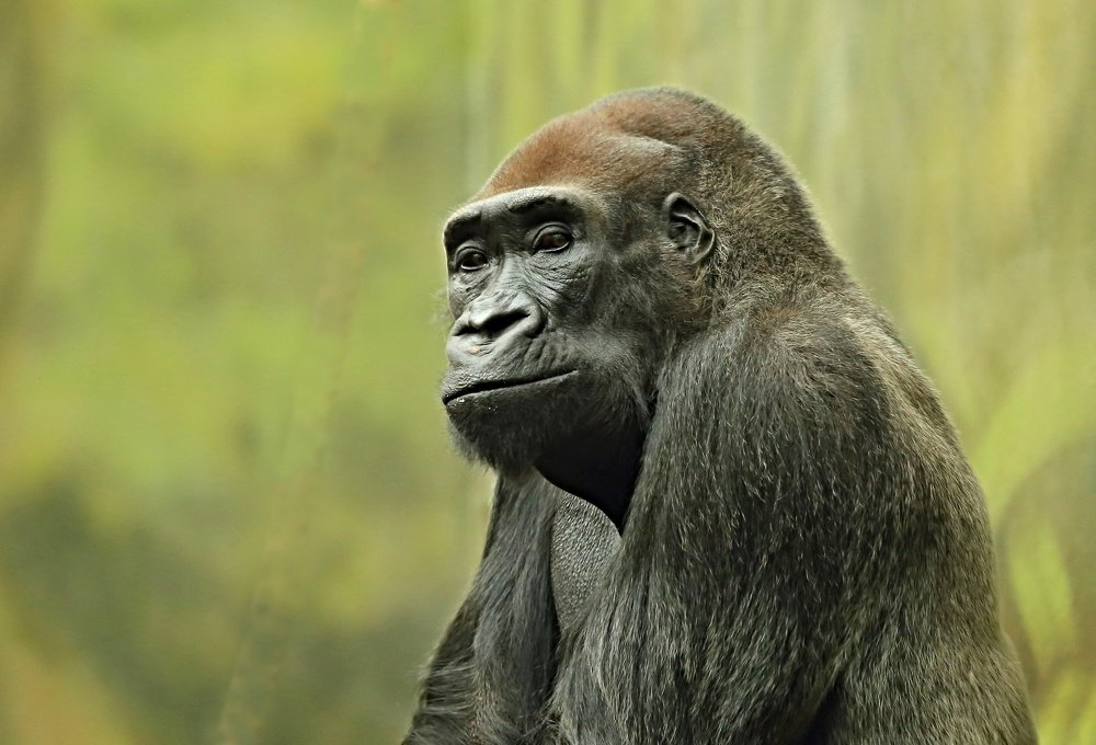 Photograph by Igor Badura