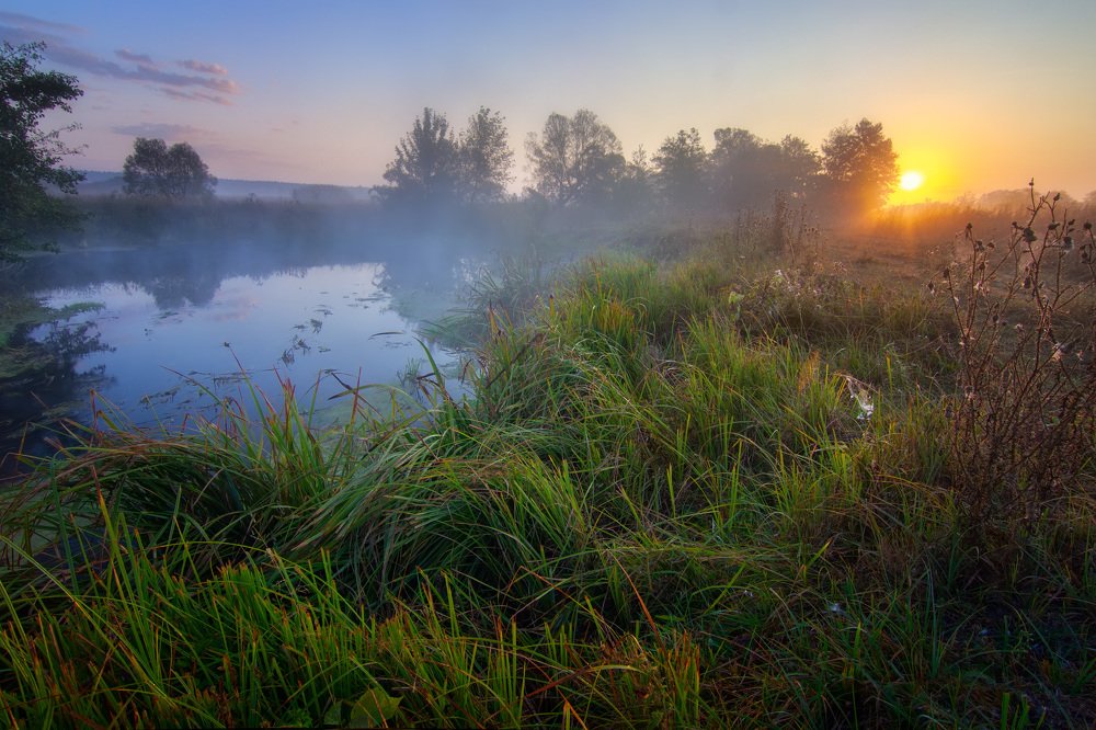 Рассвет у реки