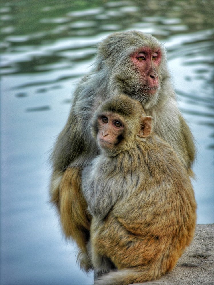 Photograph by Татьяна Лисянская