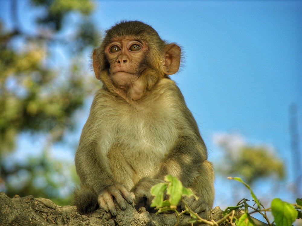 Photograph by Татьяна Лисянская