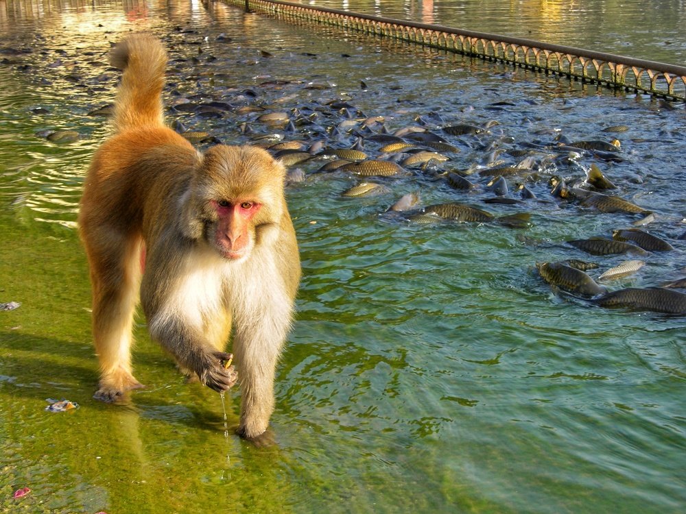 Photograph by Татьяна Лисянская