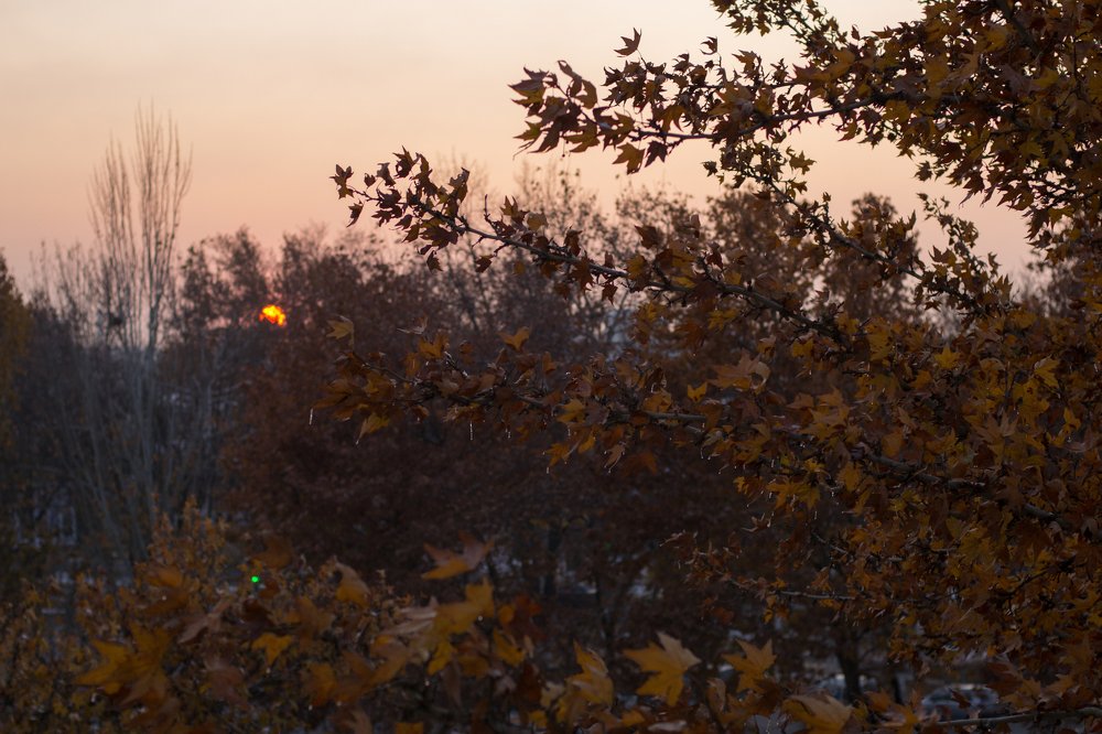 Photograph by Rusudan Khubutiya