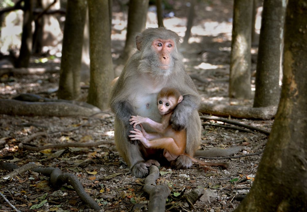 Photograph by Александр Шипиленко