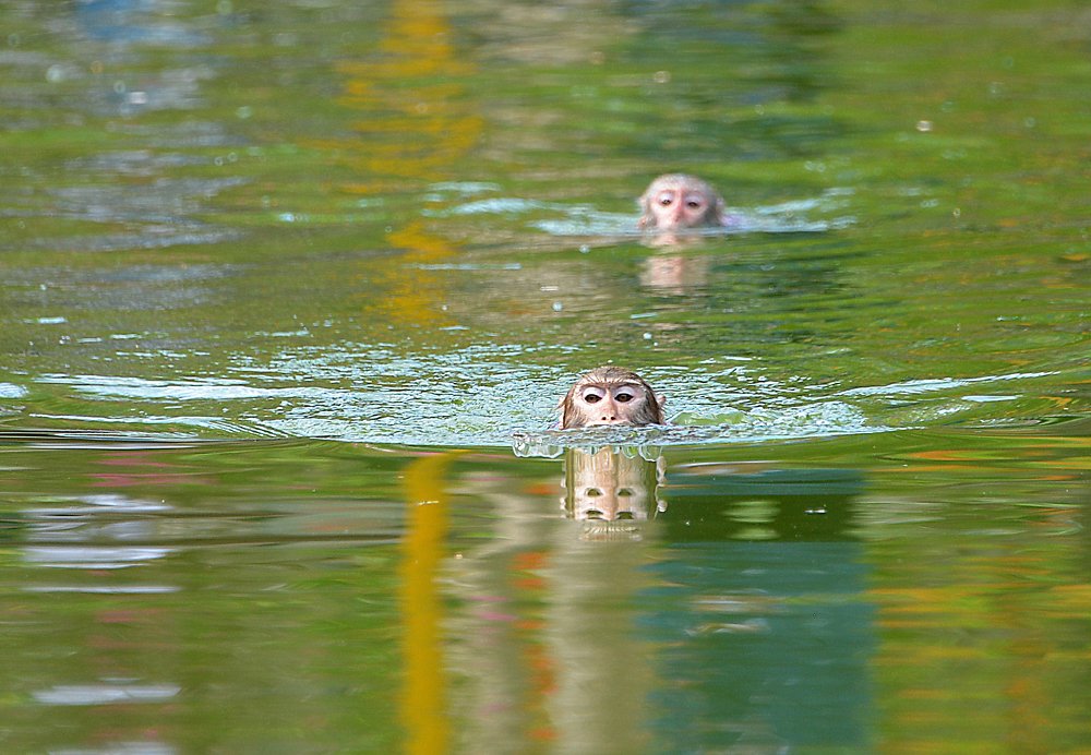 Photograph by Александр Шипиленко