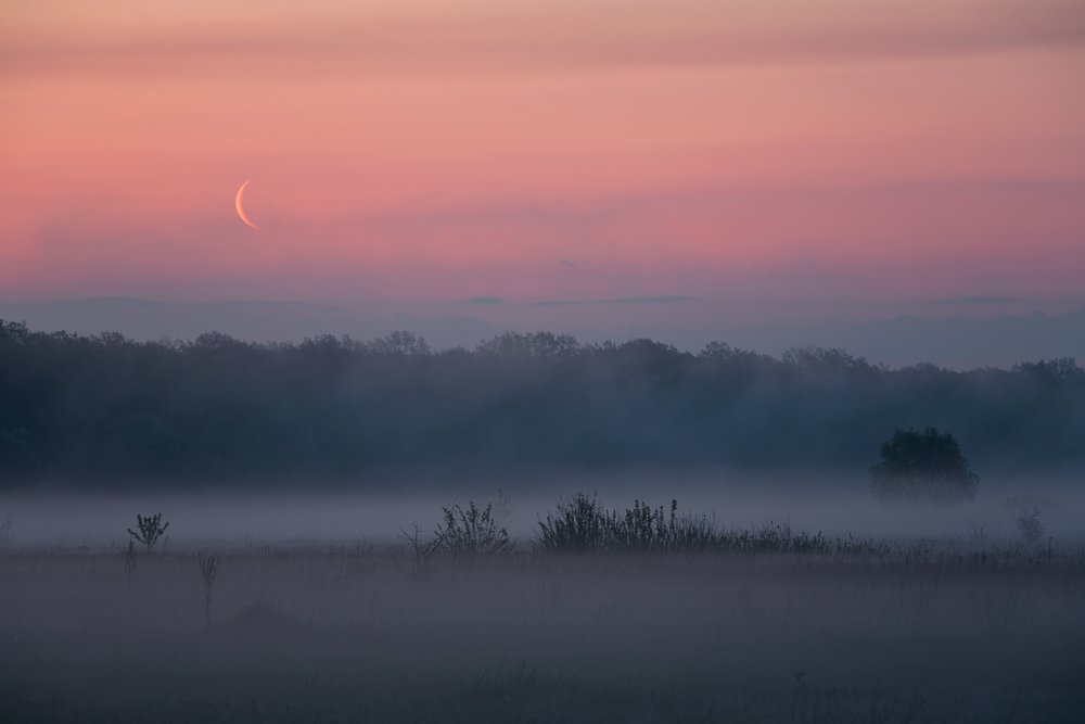 Фотография автора Юрий Сорокин