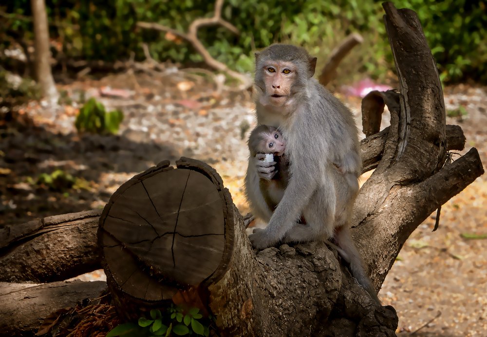 Photograph by Александр Шипиленко