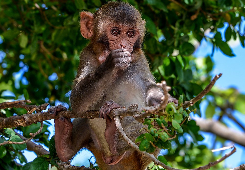 Photograph by Александр Шипиленко