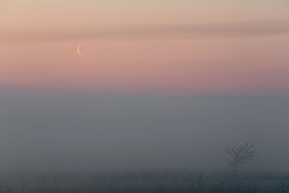 Фотография автора Юрий Сорокин