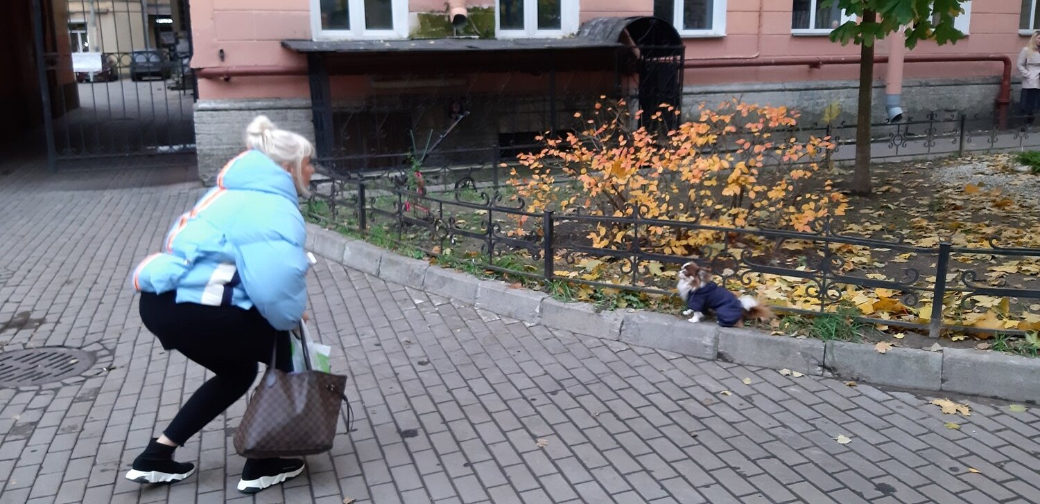 Смотри на меня, делай как я