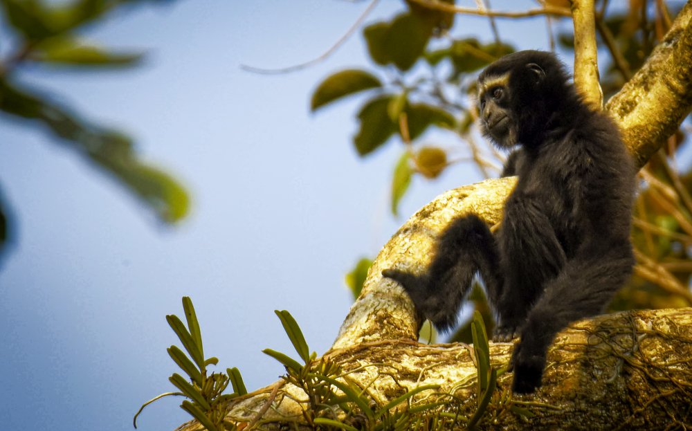 Photograph by Zayed Sanim