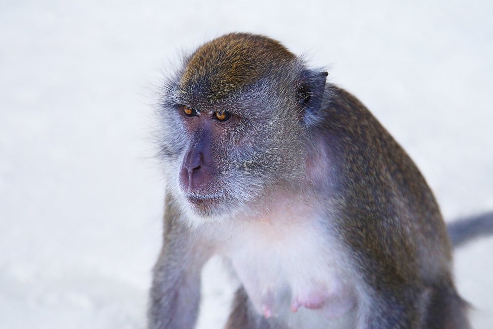 Photograph by Lana Anferow