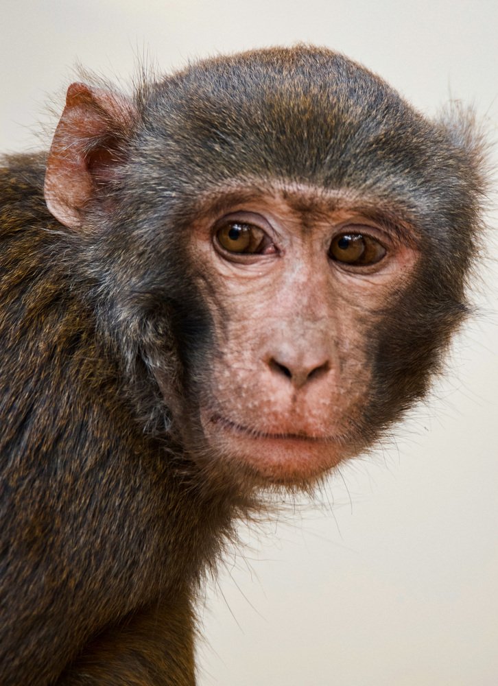 Photograph by Zayed Sanim