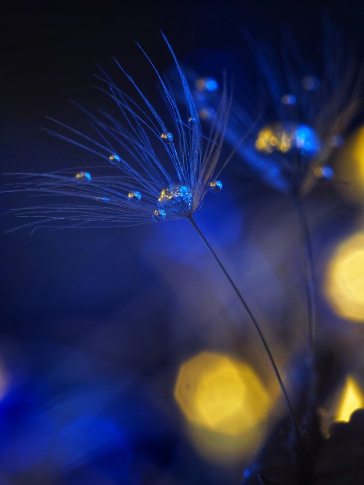 Photograph by Ольга Линк