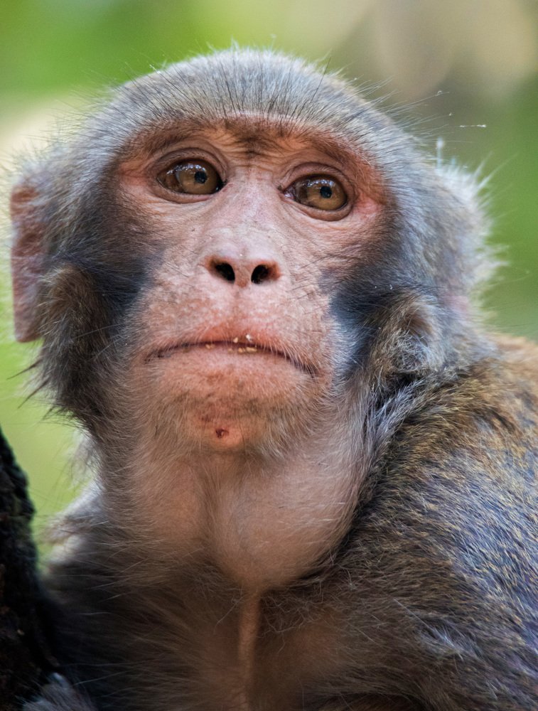 Photograph by Zayed Sanim