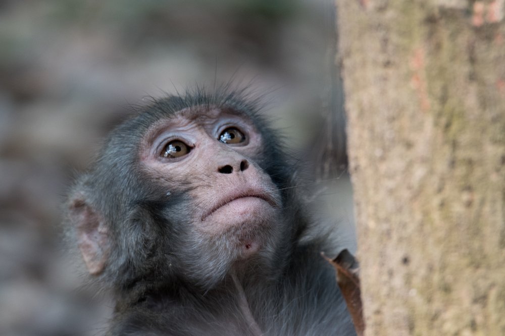 Photograph by Zayed Sanim