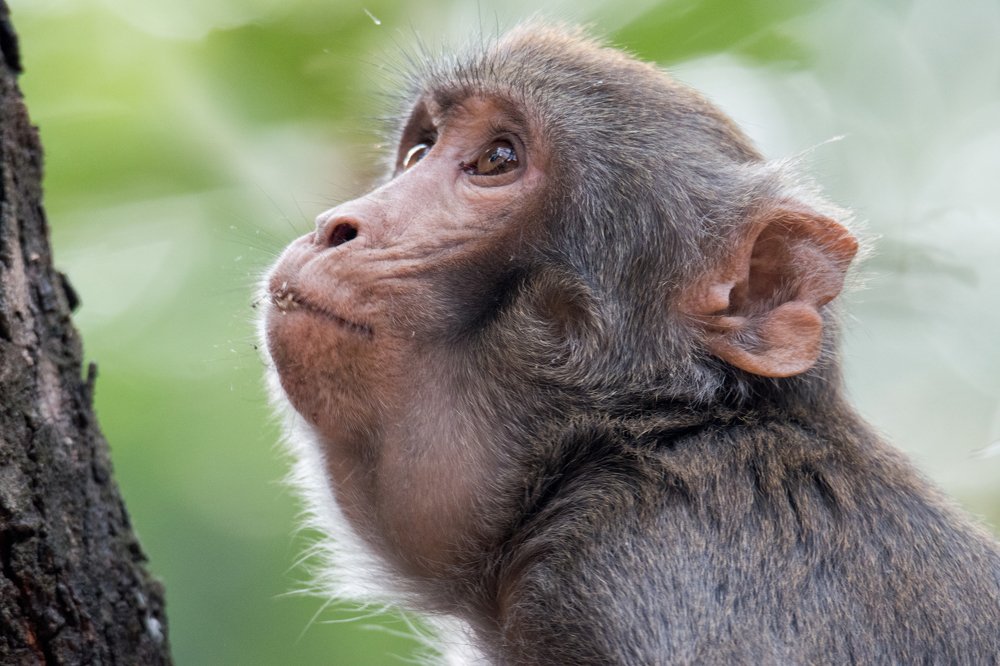 Photograph by Zayed Sanim