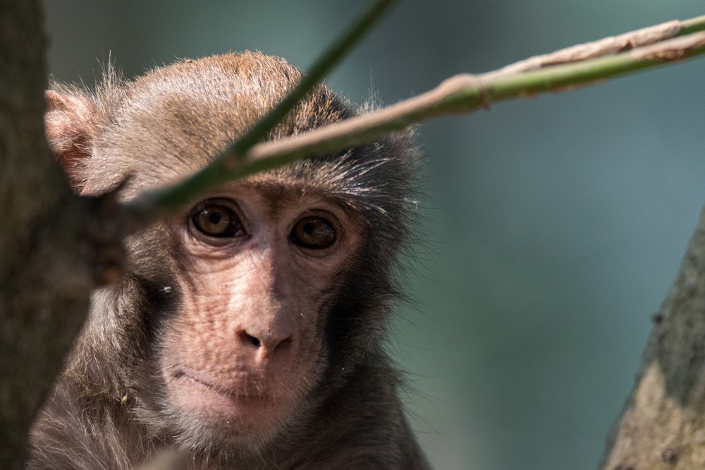 Photograph by Zayed Sanim