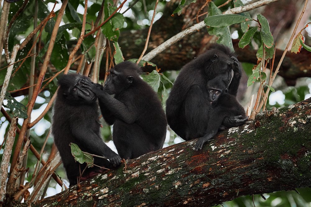 Photograph by Роман Штейнбрехер