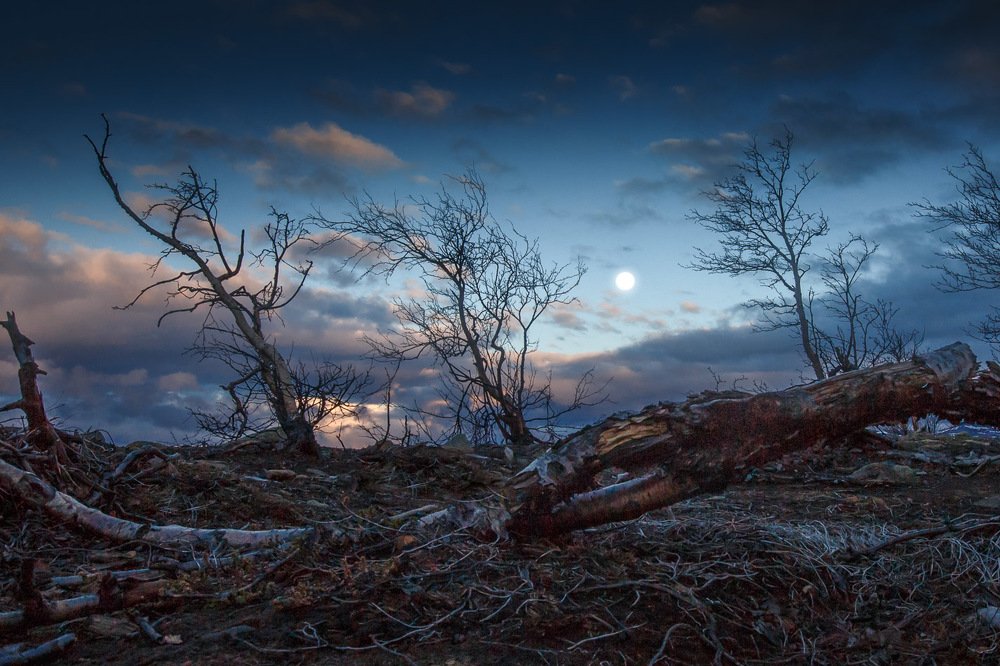 Photograph by Евгений Луцко