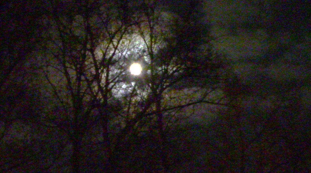 Photograph by Ирина Степановна Азаренкова