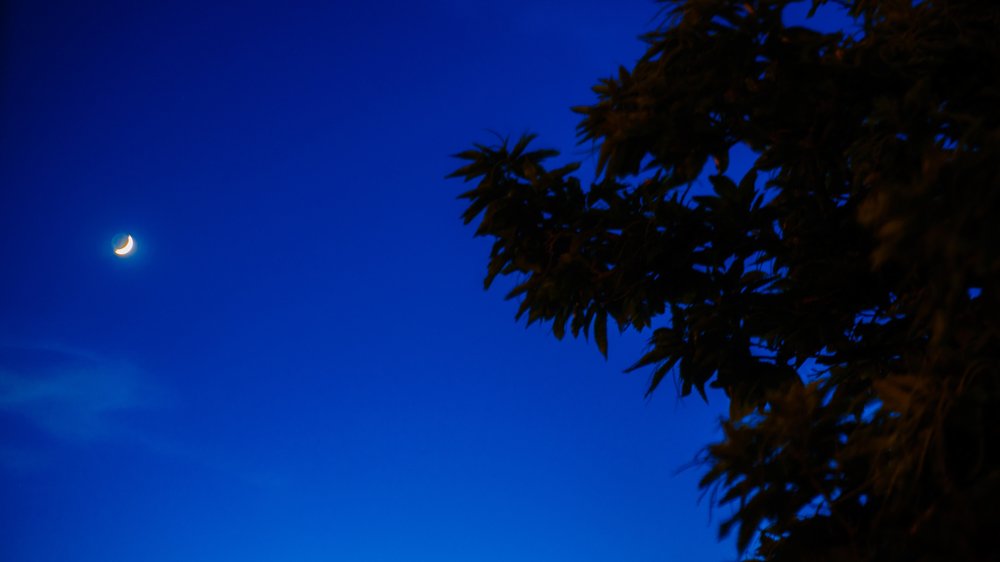 Photograph by Tomás Fonseca