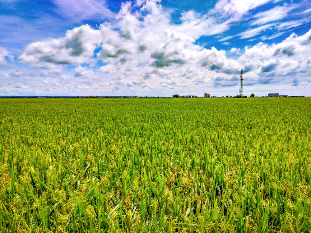 Photograph by Anuar Khairul