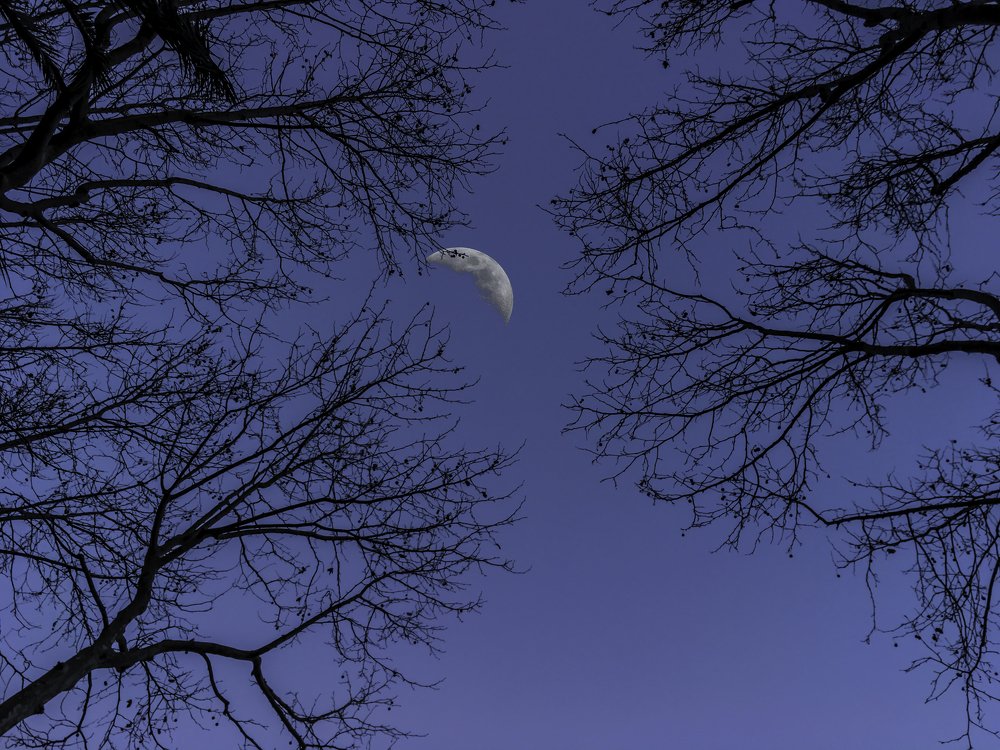 Photograph by Tomás Fonseca