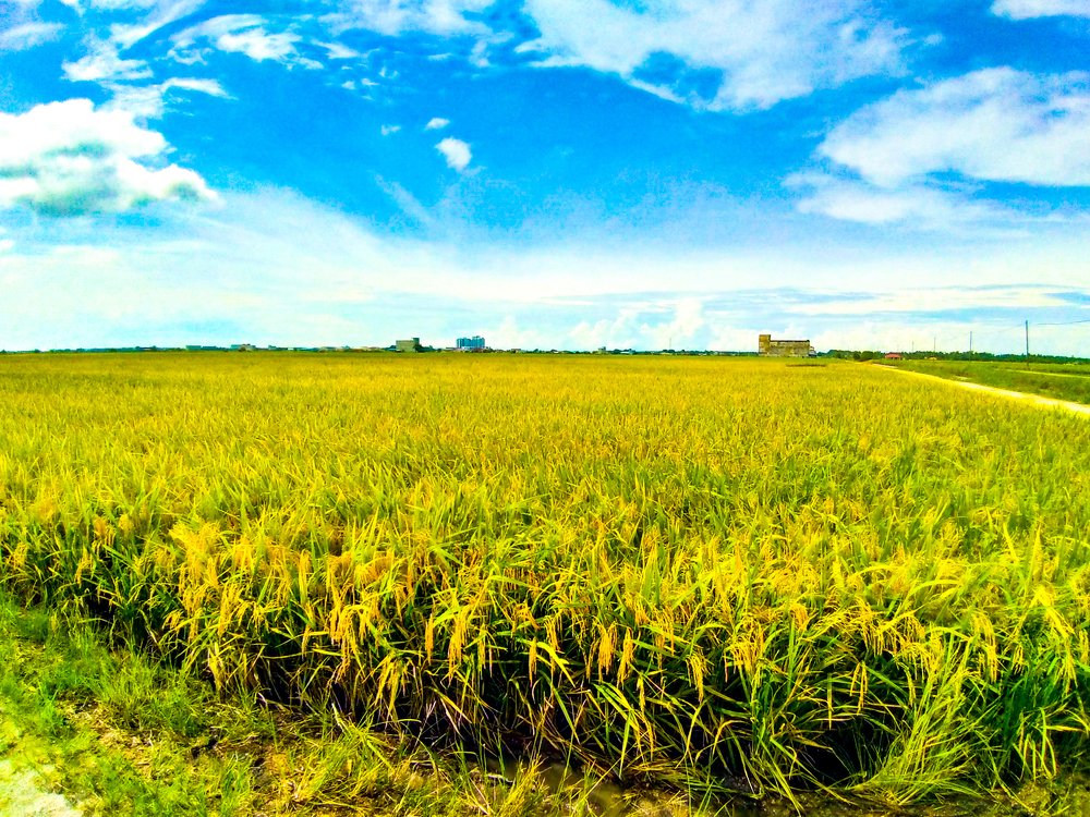 Photograph by Anuar Khairul