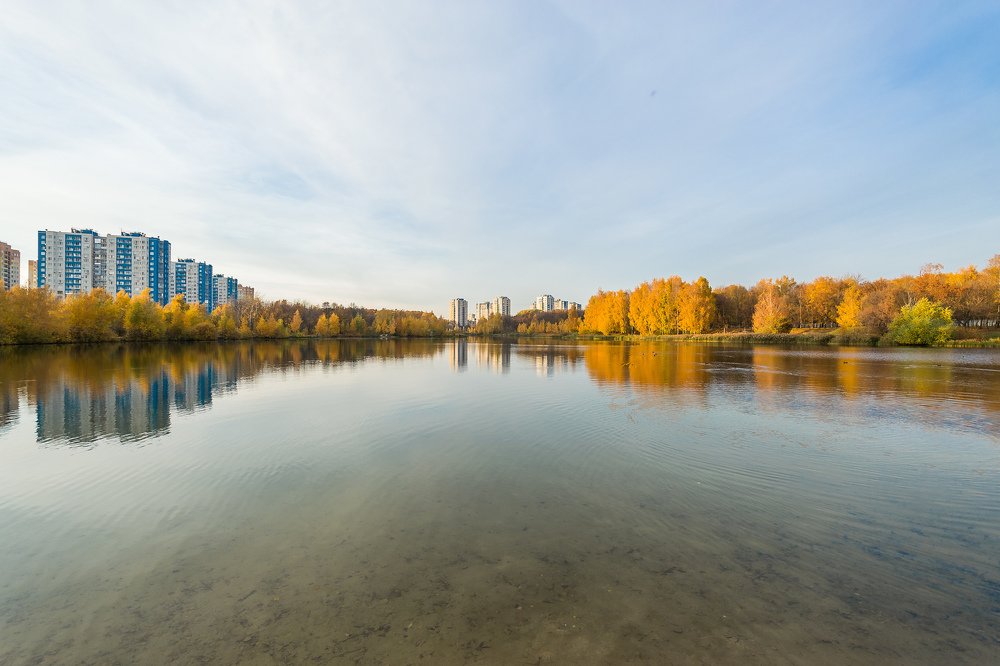 Unity of the city and nature