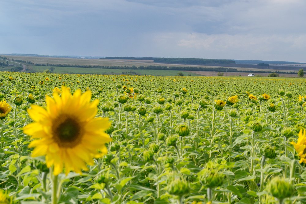 Photograph by Андрей Калинин