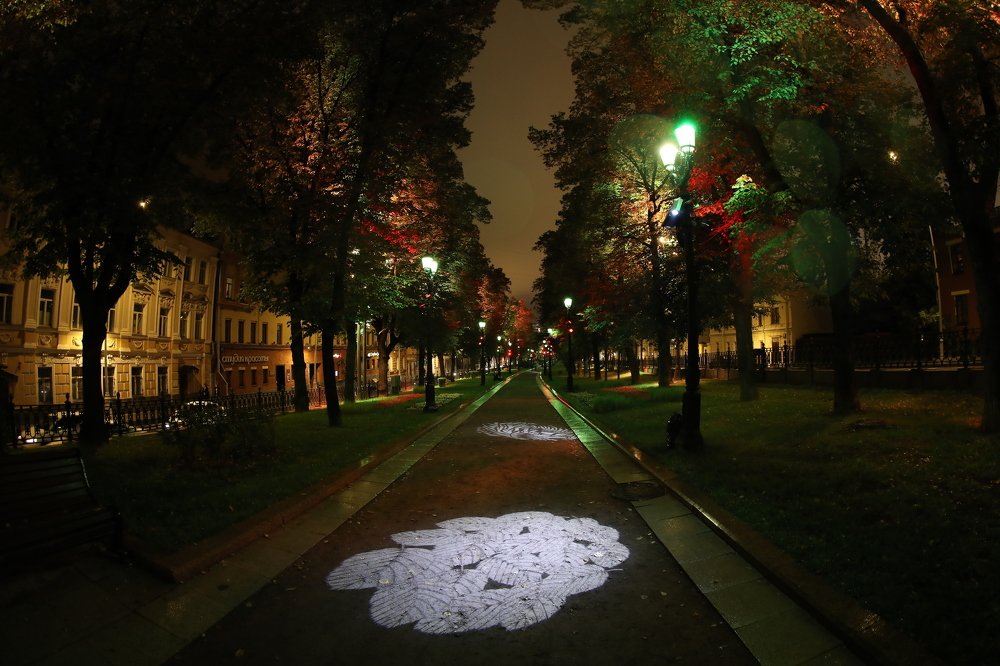 Photograph by Andrey Maclaut