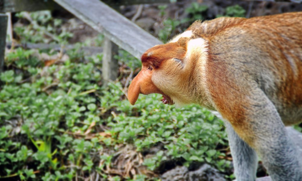 Photograph by Дмитрий Петренко