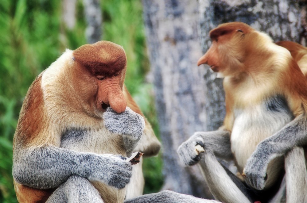 Photograph by Дмитрий Петренко